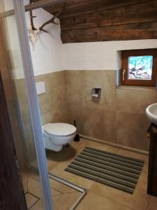 een badkamer met een toilet en een wastafel bij Rainer-Heimalm in Dorfgastein