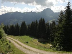 een onverharde weg in een veld met bergen op de achtergrond bij Rainer-Heimalm in Dorfgastein