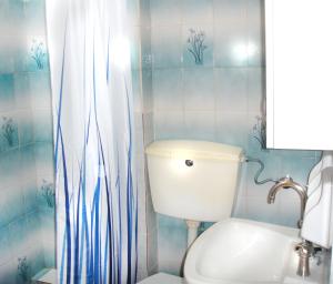 łazienka z toaletą, umywalką i zasłoną prysznicową w obiekcie Galaxias Studios w mieście Skala
