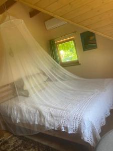 a bedroom with a bed with a mosquito net at Lake Dreamhouse in Žuklijai