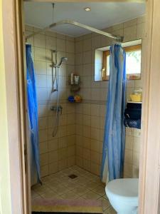 a bathroom with a shower and a toilet in it at Lake Dreamhouse in Žuklijai