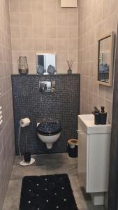 a small bathroom with a toilet and a sink at Meerblick - widok na morze in Puck