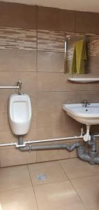 baño con urinario y lavabo en La Unchesu, en Gorgova