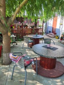 a patio with a table and chairs and a tree at Casa/camere Maria in Corbu