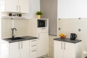 Küche/Küchenzeile in der Unterkunft Apartment Iva