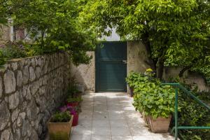 Ein Garten an der Unterkunft Apartment Iva