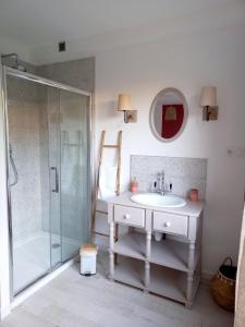 uma casa de banho com um lavatório e um chuveiro em Le Clos Beauséjour em Montjean-sur-Loire