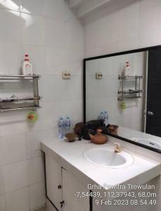 La salle de bains est pourvue d'un lavabo et d'un miroir. dans l'établissement GRHA PAWITRA TROWULAN, à Trowulan