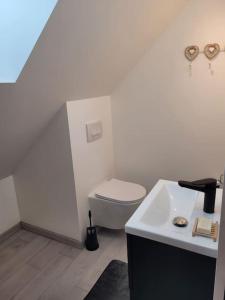 ein weißes Bad mit einem WC und einem Waschbecken in der Unterkunft Appartement proche circuit in Changé