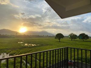 Paesaggio naturale nelle vicinanze della stanza in casa privata