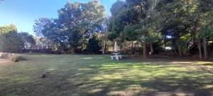 park ze stołem piknikowym w trawie w obiekcie Impala Suite -Entire Unit- 2 bedroom with 1 ensuite bathroom w mieście Ladysmith
