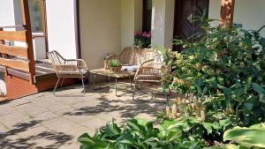 Taman di luar Agroturystyka Jelenia
