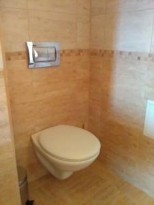 een badkamer met een toilet en een toiletpapierdispenser bij Къща за гости Поляна 