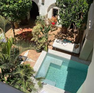 - une vue sur la piscine dans le jardin dans l'établissement Riad Al Massarah, à Marrakech