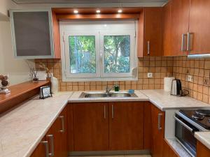 a kitchen with a sink and a window at Garden View Apartment in Athens