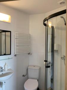 a bathroom with a toilet and a sink and a shower at Premium Hostel & Bistro in Mielec