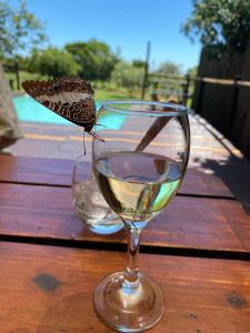 una copa de vino sentada en una mesa con una mariposa en ella en Tranquillity Day Spa & Lodge, en Baviaanspoort