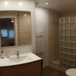 ein Bad mit einem Waschbecken und einer Dusche mit einem Spiegel in der Unterkunft Acogedor y precioso apartamento + parking privado in San Sebastián