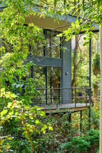 a screened in porch on a house with trees at Pethers Rainforest Retreat in Mount Tamborine