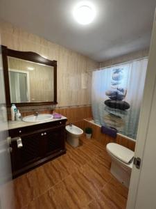 La salle de bains est pourvue d'un lavabo, de toilettes et d'un miroir. dans l'établissement Adosado Estany, à Cullera