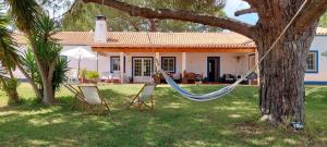 a hammock in the yard of a house at Monte do Pinheirinho in São Domingos