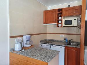Kuchyň nebo kuchyňský kout v ubytování Apartamentos Grifo Vacances Grizzly