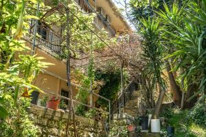 A garden outside Vangelis studio 2