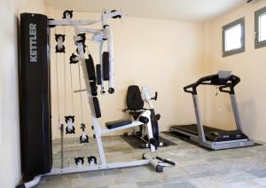 The fitness centre and/or fitness facilities at Villa Saffron