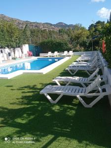 una fila de tumbonas junto a una piscina en Alojamiento Alarcon, en Arroyo Frío