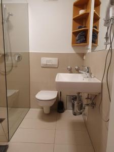 a bathroom with a toilet and a sink and a shower at Ferienwohnung BaMBi in Prien am Chiemsee