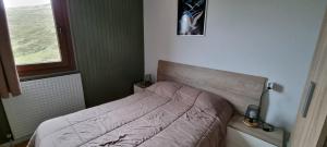 Postel nebo postele na pokoji v ubytování Apartamentos Grifo Vacances Grizzly