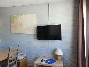 TV a/nebo společenská místnost v ubytování Apartamentos Grifo Vacances Grizzly