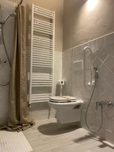 ein Bad mit einem WC und einer Dusche in der Unterkunft Agriturismo Cascina Carai in Marone