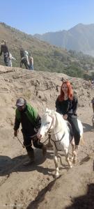 un hombre liderando a una mujer en un caballo blanco en Javalindra Homestay Tour and Travel, en Banyuwangi