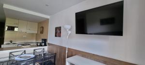 TV a/nebo společenská místnost v ubytování Apartamentos Grifo Vacances Grizzly