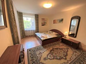 a bedroom with a bed and a mirror and a rug at Virgin'A in Nida