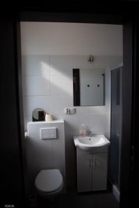 a small bathroom with a toilet and a sink at Apartamenty Kattowitz Słowackiego in Katowice +33 photos
