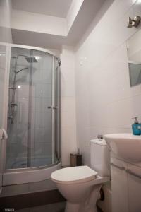 a bathroom with a toilet and a shower and a sink at Apartamenty Kattowitz Słowackiego in Katowice