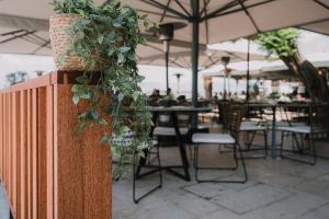 a plant on a wall with tables and chairs at Agamemnon Hotel in Nafplio