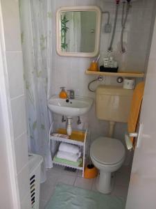 een kleine badkamer met een wastafel en een toilet bij Studio apartman MARIJA in Petrcane
