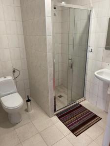 a bathroom with a shower with a toilet and a sink at U Karola in Darłowo