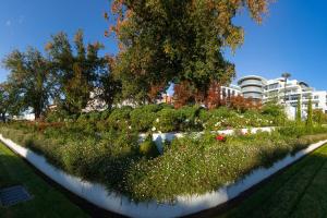 a garden with flowers and trees in a city at Mantra Charles Hotel in Launceston
