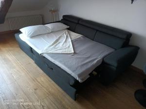 Легло или легла в стая в In Crocetta