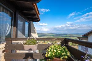 a balcony with two potted plants and a window at Suite Kolibri in Galilee in Semadar