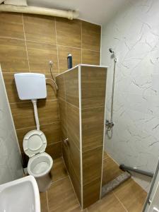 a small bathroom with a toilet and a shower at Risteski Inn in Prilep