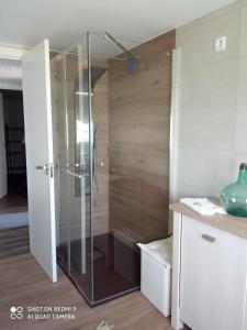 eine Dusche mit Glastür im Bad in der Unterkunft Casa Sartages in Ribadumia