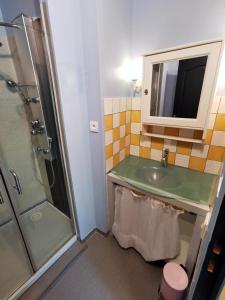 y baño con lavabo, ducha y espejo. en Les gîtes Estaou Treillo, en Le Monastier sur Gazeille