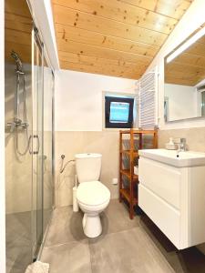 a bathroom with a toilet and a sink and a tv at Domki u Projektantek in Władysławowo