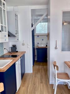 a kitchen with blue cabinets and a sink at Studio Tehani in Quiberon