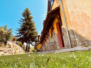 a building with a tree next to a field of grass at Apartamentos Els Ocells in Camprodon